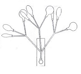 Бра Crystal Lux EVITA AP9 WHITE/TRANSPARENT EVITA